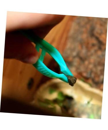 ibasenice 20pcs Reptile Feeding Clip Feeding Clamp Centipede Living Body 20pcs Green - Buy Online on GoSupps.com