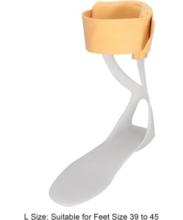 Ankle Foot Orthosis Support Foot Drop Brace Drop Foot Brace Drop Foot Brace Orthosis Ankle Brace Support Plantar Fasciitis Night Splint Orthopedic for Plantar Fasciitis(L-R) L R - Buy Online on GoSupps.com