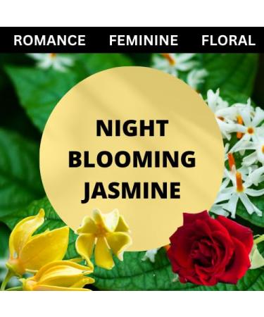 Night Blooming Jasmine Scented Body Spray 4 Oz (2 Pack) - Buy Online on GoSupps.com