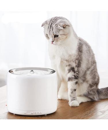 PETKIT Eversweet 3 Stainless Steel Water Fountain - Automatic Dispenser for Cats and Dogs - Ultra-Quiet with LED Light - Dual Modes - Buy Online on GoSupps.com
