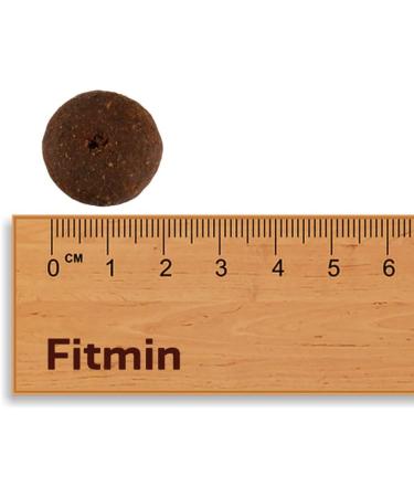 Fitmin Maxi Senior - Dry food for older dogs of large breeds - With fresh meat - 76% protein of animal origin - Food for older dogs of large breeds - 12 kg - Buy Online on GoSupps.com