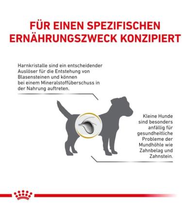Royal Canin Veterinary Urinary S/O Small Dogs | 1.5 kg | Complete dietetic food for small adult dogs | Struvite stones - Buy Online on GoSupps.com