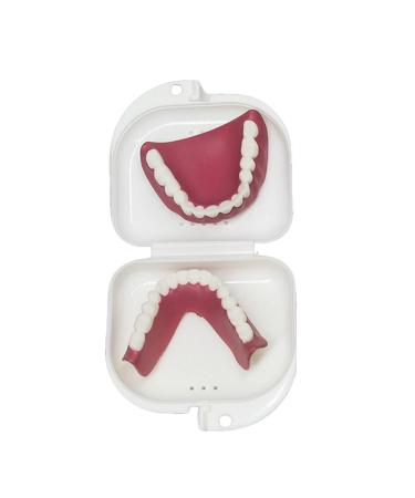 Human Teeth Model - Dental Prostheses for Seniors | Denture Care & Cleaning Set - Buy Online on GoSupps.com
