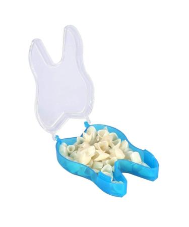 Non-Toxic Temporary Molar Crown for Oral Care | Protect Front Teeth & Gingiva - Buy Online on GoSupps.com