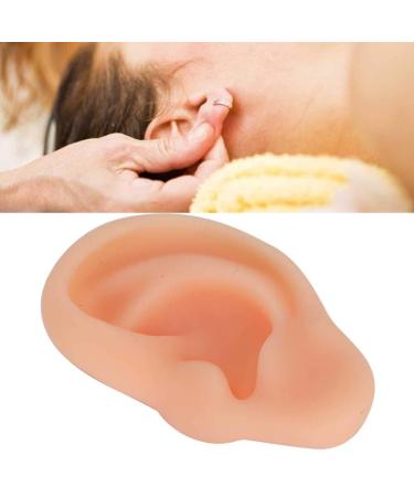 Silicone Left Ear Acupuncture Practice Model - Professional Massage Teaching Tool - Buy Online on GoSupps.com
