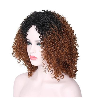 Curly Hair Wigs for Black Women | Natural Kinky Curly Afro Lace Front Wigs | Short Fluffy Wavy Human & Synthetic Options - Buy Online on GoSupps.com