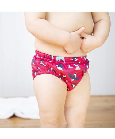 TotsBots Reusable Swim Pants | Babies & Toddlers 18-24 Months | Swimming Pool Safe | UK Made - Buy Online on GoSupps.com