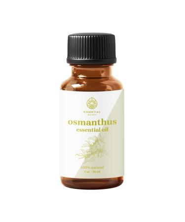 Osmanthus Oil - Premium Grade 100% Undiluted Essential Oil (1 oz.) | for Aromatherapy Soaps Lotions & Candles | Vegan & Cruelty Free