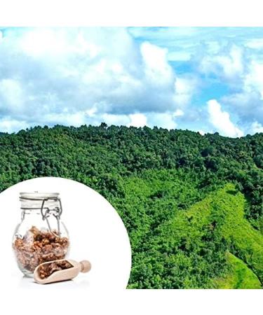 House Cr tet | Thyme honey Rosemary and green propolis | Glass jar | 1 preparation in 400g jar - Buy Online on GoSupps.com