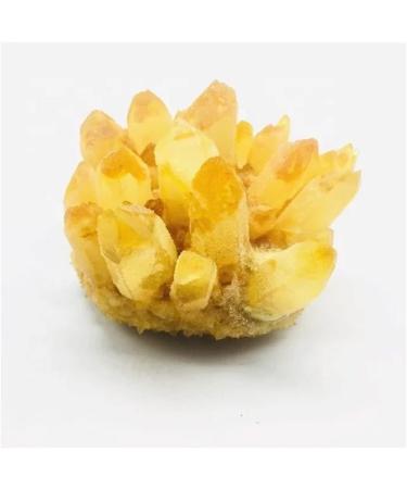 400g-700g Natural Yellow Phantom Quartz Stone Crystal Cluster for1pc Home furnishings Crystal Cluster (Size : 1PC 610G-700G) - Buy Online on GoSupps.com