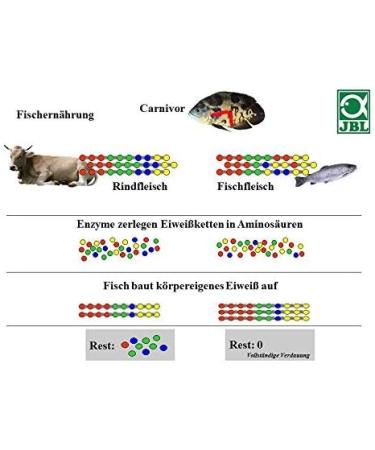 JBL NovoPrawn 30277 - Complete Granules Food for Shrimps | 250 ml | Premium Shrimp Care - Buy Online on GoSupps.com