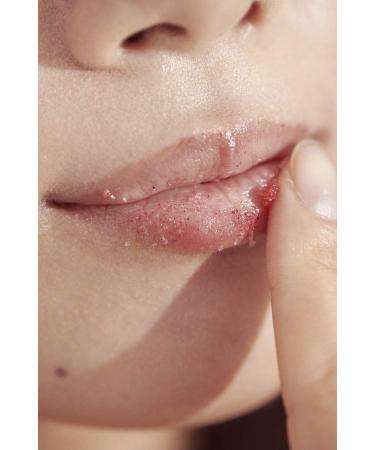 Buy Lavender Mint Lip Exfoliator 10g | Nourishing Lip Scrub for Smooth Lips | International Shipping - Buy Online on GoSupps.com