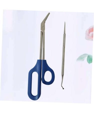 Beavorty 1 Set Cosmetology kit Manicure kit Grooming kit Pregnant Woman kit Nail 20x5.5cm Silver - Buy Online on GoSupps.com