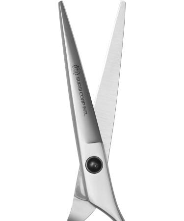 Professional Hairdressing Scissors Barber Salon Haircutting Shears 5.5" Silver - Buy Online on GoSupps.com