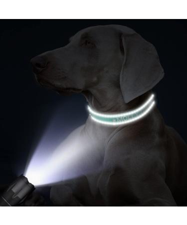 Tagme Personalized Reflective Dog Collar for Large Dogs - Embroidered Nylon with PET Name & Phone Number - Turquoise XL (1 Pack) - Buy Online on GoSupps.com