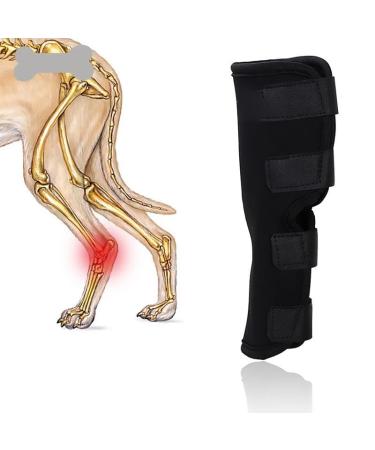 ceepdoogle Canine Dog Hock Brace Rear Leg Joint Wrap Protects Wounds as They Heal Compression Wrap Heals and Prevents Injuries and Sprains Helps with Loss of Stability Caused by Arthritis Puppy