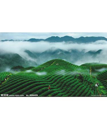 250g Yunnan Fossiles de Th Pu-erh Chine Original Th Puer Bon Th Naturel et Organique Th Pu'er sans Additifs Aliments Verts Th Puerh - Buy Online on GoSupps.com