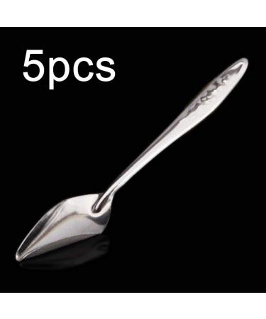 Folewr 5 Pcs Baby Bird Pointed Feeding Spoon Stainless Steel Milk Medicine Parrot Feeder for All Baby Bird Peony Cockatiel Household Pet Feeding Supplies - Buy Online on GoSupps.com