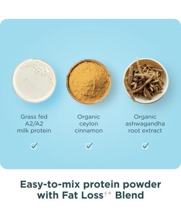 Ancient Nutrition Grass Fed Whey Protein + Fat Loss Blend Vanilla Cinnamon 23g Protein Promotes Fat Loss and Boost Metabolism Organic Regenerative A2/A2 Milk Protein 18 Servings - Buy Online on GoSupps.com