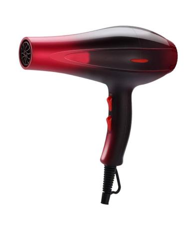 Hair Dryer - Negative Ionic Fast Dry Low Noise Hair Dryer Professional Hair Dryer with Diffuser Concentrator