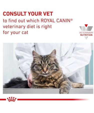 ROYAL CANIN Veterinary ANALLERGENIC for Cats | 2kg | Dry Cat Food | Dietary Complete Food for Adult Cats | Hydrolyzed Protein - Buy Online on GoSupps.com