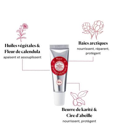 Pol ar Gift Box Lapland Kit - Arctic Berries Hand Cream & Lip Balm | Vegan Cruelty-Free Beauty Care | Made in France - Buy Online on GoSupps.com