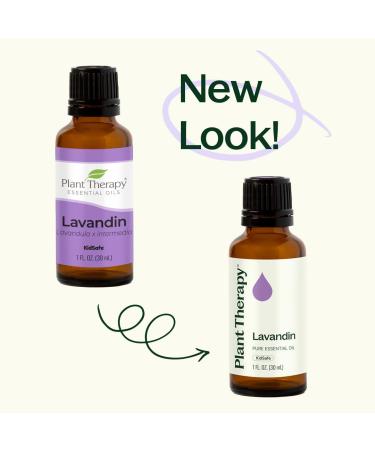 Plant Therapy Lavandin Essential Oil 100 mL (3.3 oz) 100% Pure Undiluted Therapeutic Grade 3.3 Fl Oz (Pack of 1) - Buy Online on GoSupps.com