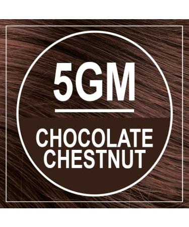 Naturtint 5GM Chocolate Chestnut Hair Color 5.75 fl oz - Permanent Hair Dye - Buy Online on GoSupps.com