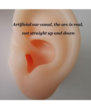 Soft Silicone Human Ear Simulation Model Learning Accessory for Ear Extraction of The Hearing Conduit Suitable for Visual Extraction Practice - Buy Online on GoSupps.com