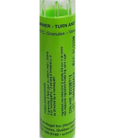 Anacardium 30CH Homeopathy Medicine Schmidt-Nagel Canada (Homeodel) 90 pellets/granules - Buy Online on GoSupps.com