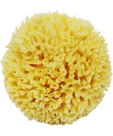 AUklOPVZZ Greek Sponge for Bathing Soft and Durable for Long Time Natural Sea Sponges for Bathing Honeycombs Natural Sea Sponge - Buy Online on GoSupps.com