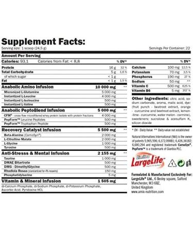 AMX AMIX RECORE CONCENTRATE 540 GRS LIME - Buy Online on GoSupps.com