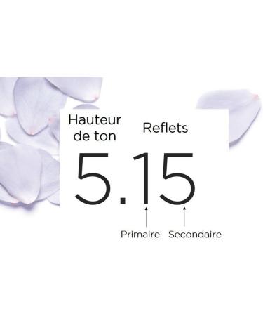 L'OR AL L'Or al Paris - Excellence Cr me - Triple Care Permanent Coloring 100% Coverage White Hair - Shade 9.3 Very Light Golden Blonde - Buy Online on GoSupps.com
