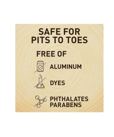 Buy Whole Body Deodorant for Men | Aluminum Free Vanilla + Shea Stick | 3oz - International Shipping Available - Buy Online on GoSupps.com