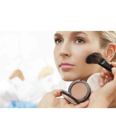 SHANY Paraben Free Powder Blush Classic - Buy Online on GoSupps.com