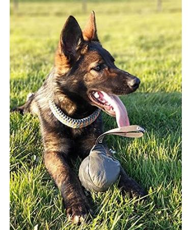 Dingo Gear Soft Real Leaderball with Handle - 11 cm Dog Toy for Retrieving & Rewarding | International Shipping - Buy Online on GoSupps.com