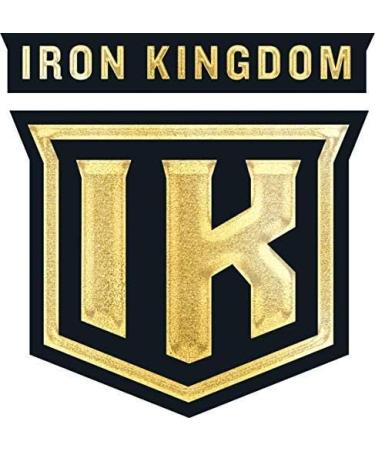 Iron Kingdom BCAA Plus Powder - Wild Berry | Amino Acids Electrolytes & Glutamine Supplement for Endurance & Recovery | 30 Servings - Buy Online on GoSupps.com