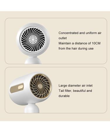 irene inevent Professional Grade Hair Dryer With Adjustable Heat Settings Professional Hair Dryer Electric Hair Dryer Super Hair Dryer white - Buy Online on GoSupps.com