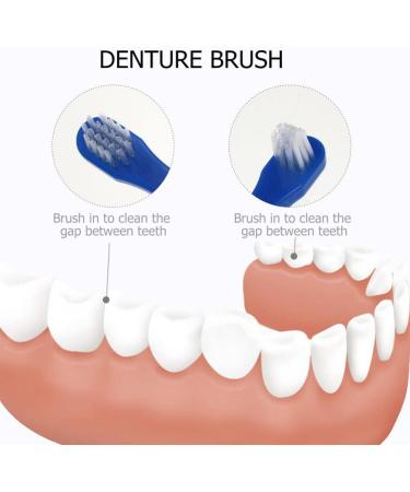 COHEALI 6Pcs Denture Brush Dual Head Toothbrushes - Hard Denture Cleaning Tool for False Teeth, Blue/Red/White - Buy Online on GoSupps.com