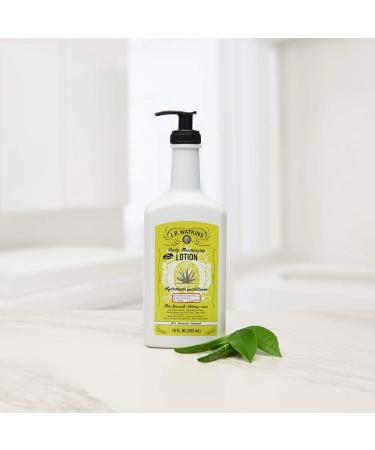 J.R. Watkins Daily Moisturizing Lotion Body Cream in Pump Dispenser Hydrating Skin Cream Made with Shea Butter, Cocoa Butter, Coconut Oil & Vitamin E, 18 fl oz, Aloe & Green Tea, Single Aloe and Green Tea 18 Fl Oz (Pack  - Buy Online on GoSupps.com