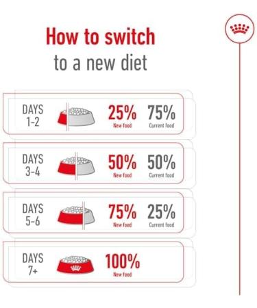Royal Canin Mini Adult 8+ | 2 kg | Complete Food for Small Breed Dogs (up to 10 kg) in the Second Half of Their Life | From 8 Years Old | Can Help Support Vitality - Buy Online on GoSupps.com