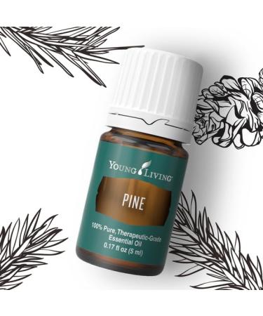 Pine Essential Oil 5ml by Young Living | Uplifting Aroma & Refreshing Breathing | Repels Negative Energy | Ideal for Essential Oil Diffusers - Buy Online on GoSupps.com