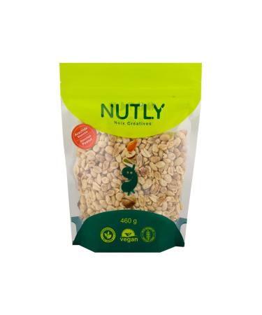 Blanched Peanuts kernel NUTLY (460) 460.0 grams