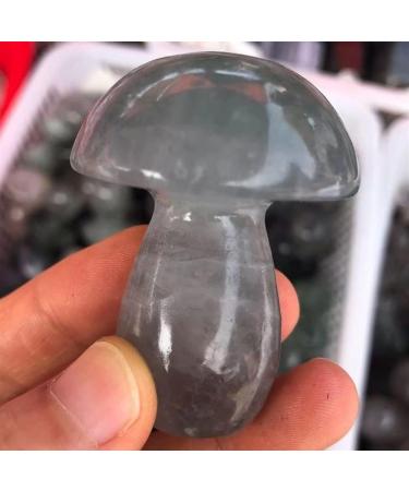 Natural Crystal Rough Specimen 40-50mm Natural Green Purple Fluorite Crystal Mushroom Shaped Polished Stone DecorNaturalStones and CrystalsStone (Size : 1pc) - Buy Online on GoSupps.com