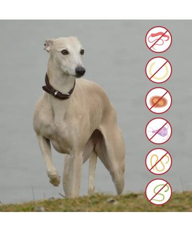 Leiky Wurminol Papain Powder 90g | Natural Digestive Aid | International Shipping Available - Buy Online on GoSupps.com