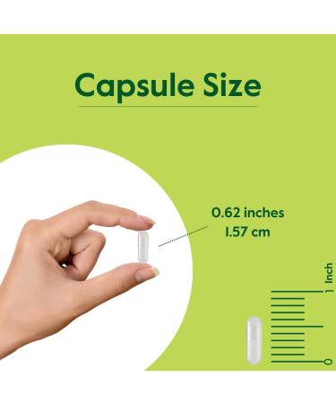 BESTVITE Sytrinol 150mg (120 Vegetarian Capsules) - Patented Blend of Natural Citrus and Palm Fruit extracts - No Stearates - Vegan - Non GMO - Gluten Free - Buy Online on GoSupps.com