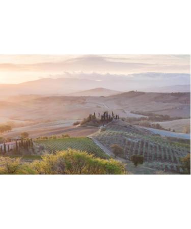 Cantuccini Pistachio with Lemon and Cantuccini Chocolate Biscuits From Italy Pack of 2 (2x200gr) | Authentic Cantuccini Italian Gourmet Biscuits From Tuscany - Buy Online on GoSupps.com