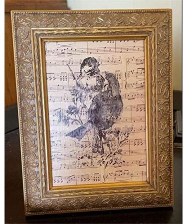 Love Birds on Flowers Clear Stamp Set for Card Making and Scrapbooking - Style1 - Buy Online on GoSupps.com