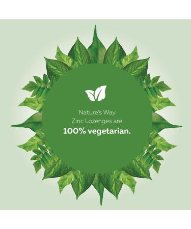 Nature s Way Zinc with Echinacea & Vitamin C - Immune Support Supplement with Zinc Echinacea and Vitamin C Natural Wild Berry Flavour - 120 Lozenges Value Size 120 Count (Pack of 1) - Buy Online on GoSupps.com