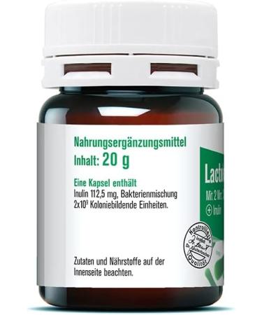Lactokult Plus Capsules - 60 Count | 2 Billion Probiotic Bacteria + Inulin | Premium Dietary Supplement for Digestive Health - Buy Online on GoSupps.com